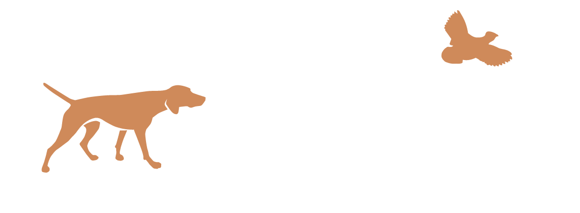 The Accidental Bird Dog