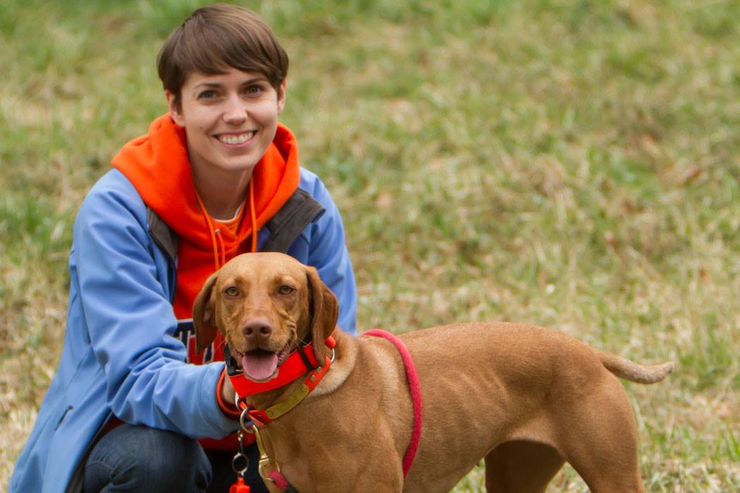 Things I’ve Learned Training My First Bird Dog