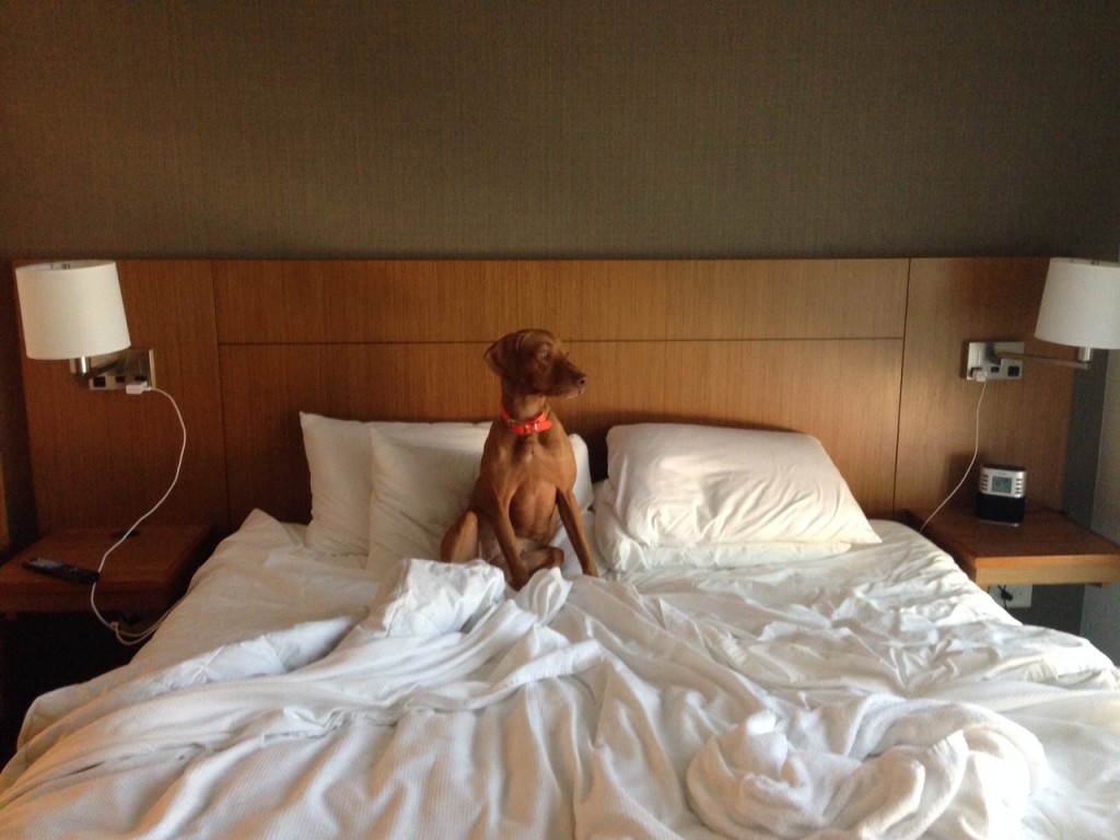 Zara: I could get used to this hotel life...