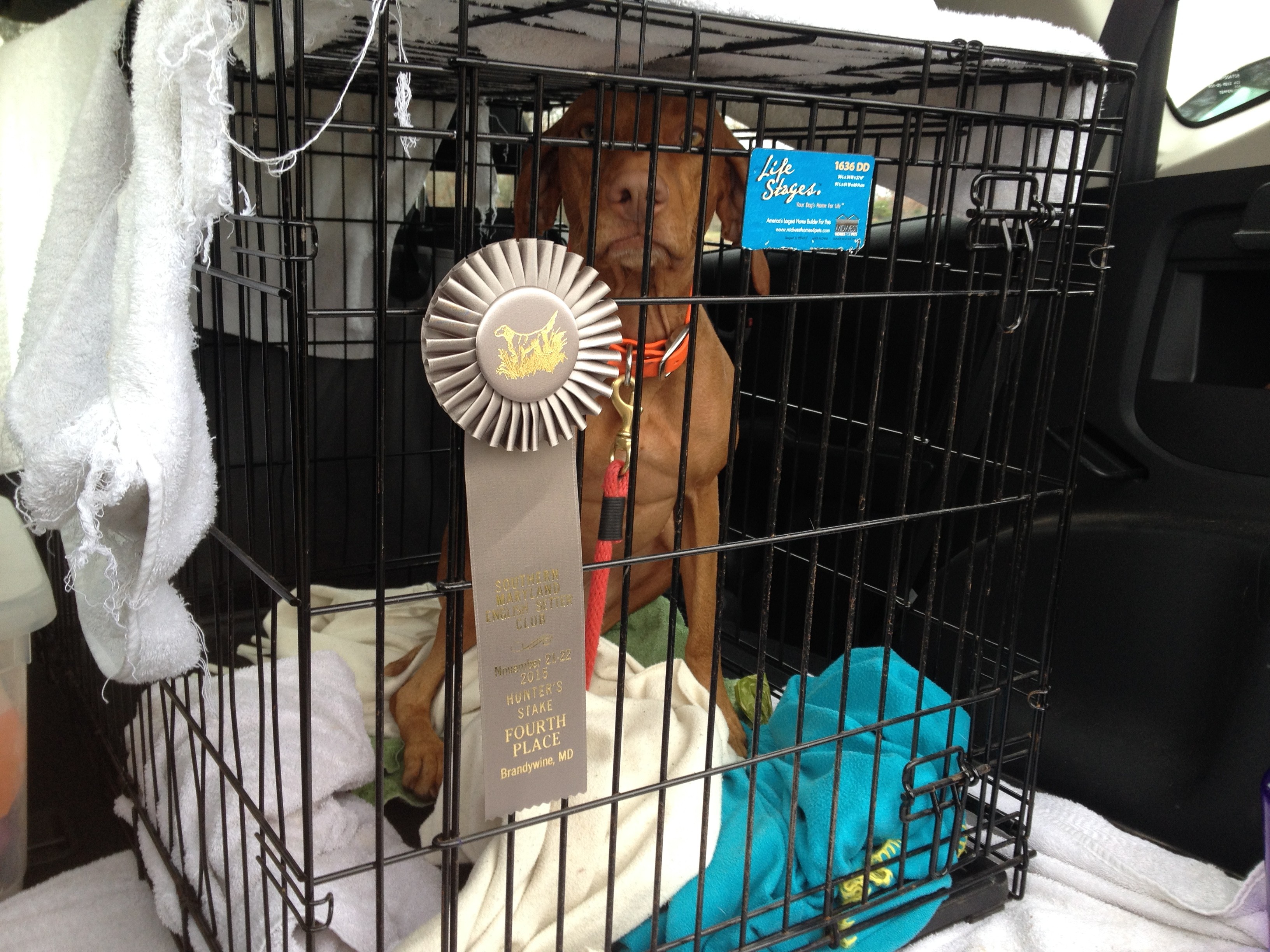 I won a ribbon! Now get me out of this crate.