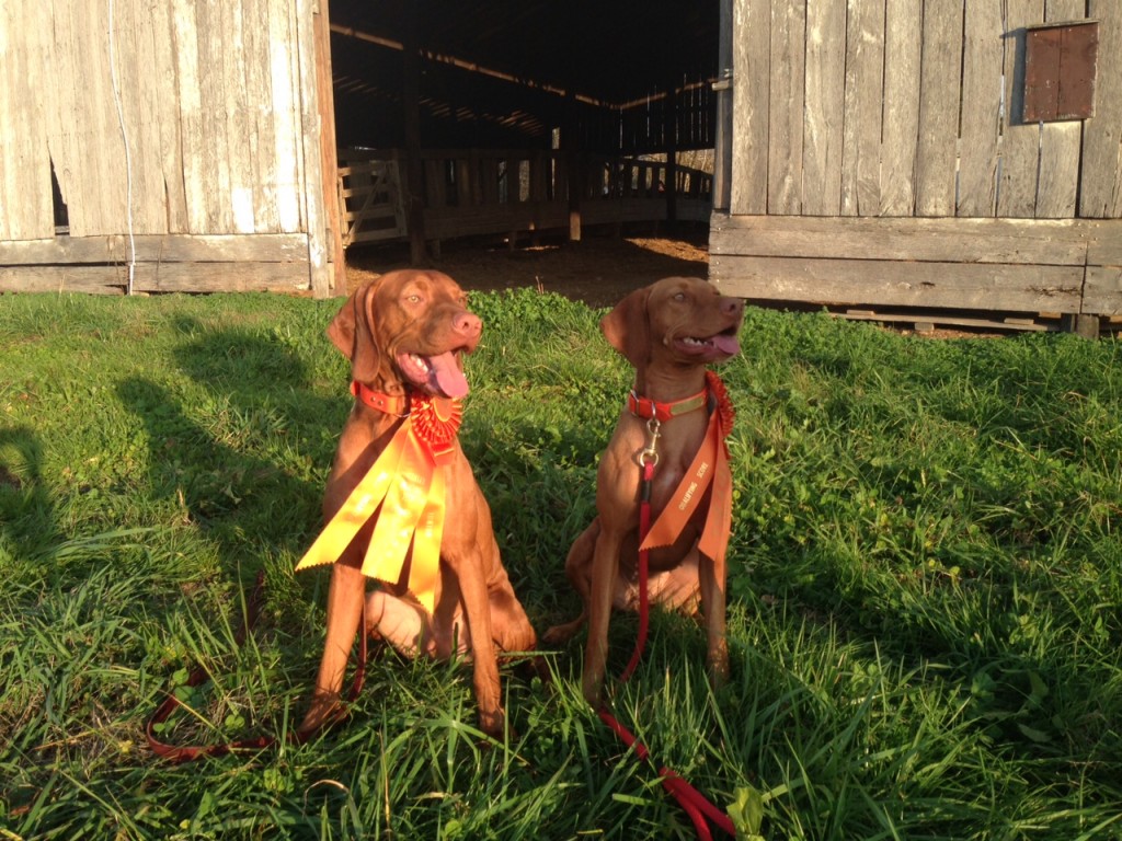 Zara and Archer modeling their ribbons.
