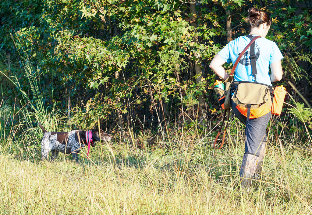 Field work at a NAVHDA training day