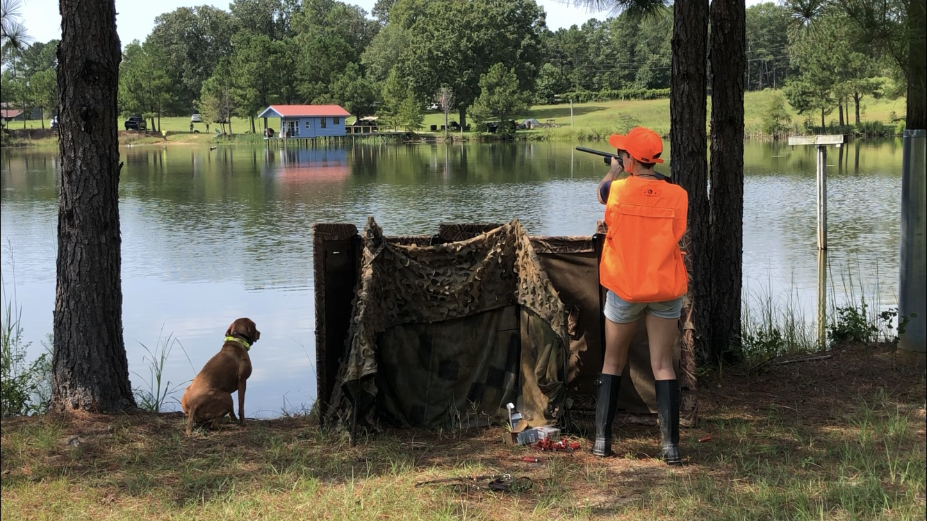 Steady by the blind at NAVHDA training day