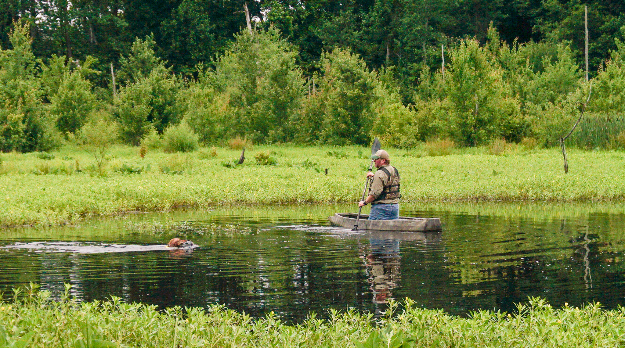 duck search training