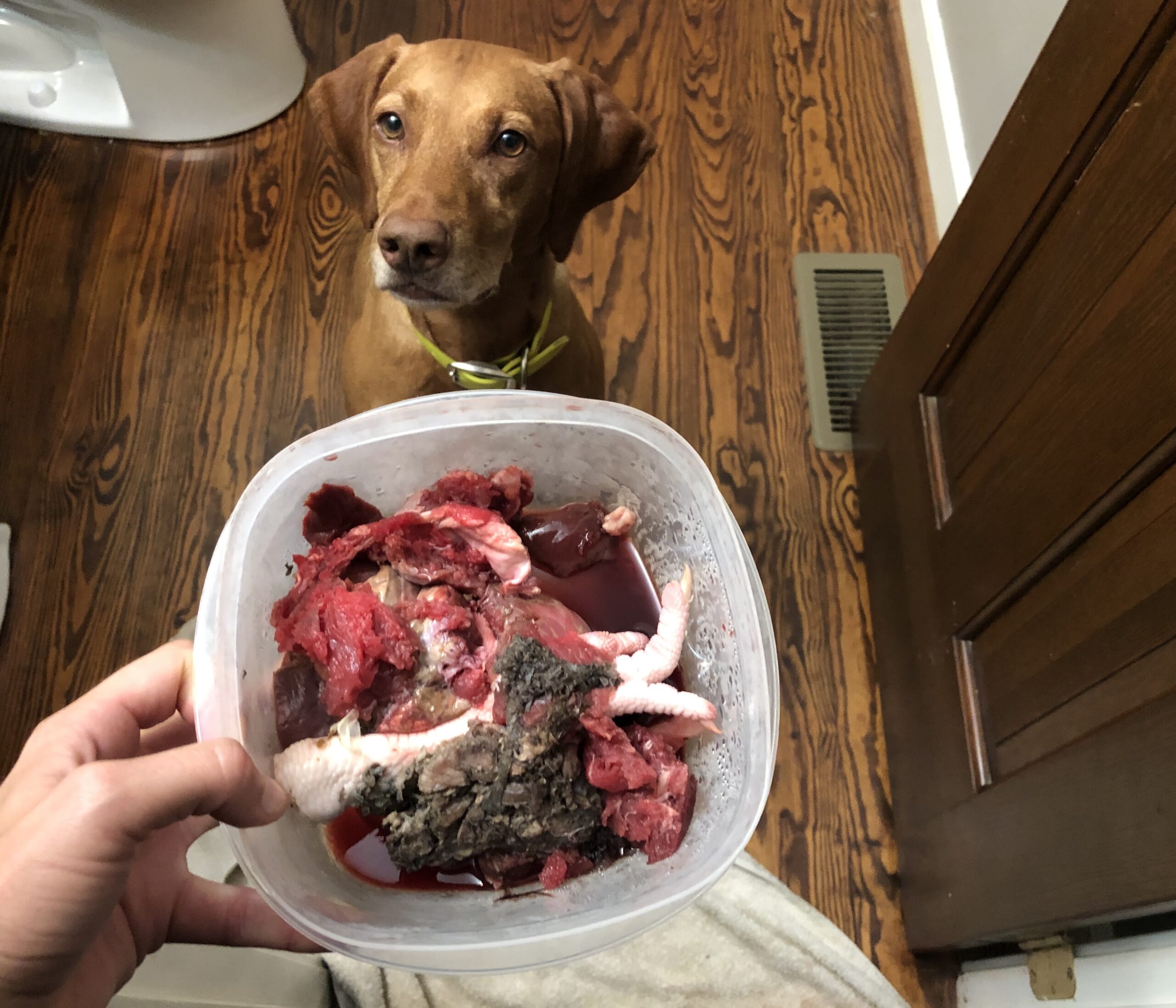 How much should a 50 pound dog eat best sale