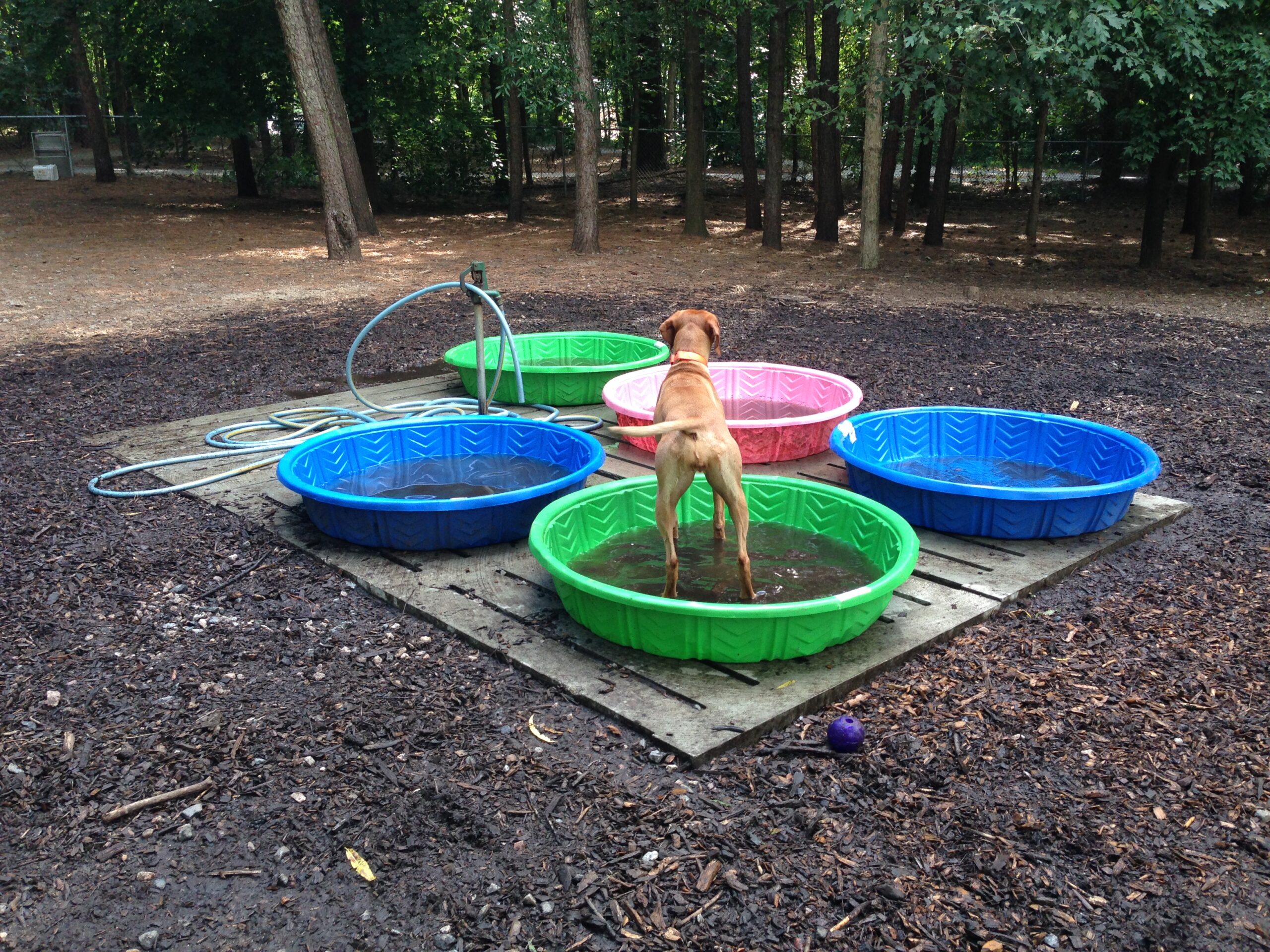 Zara enjoys the pools