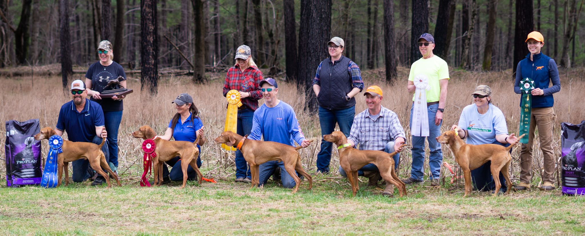 The line-up of placed dogs