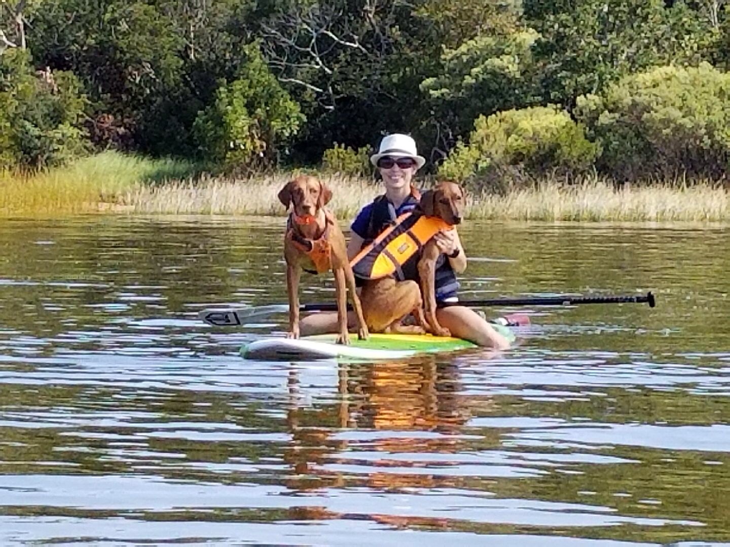 baby Colombo on a SUP