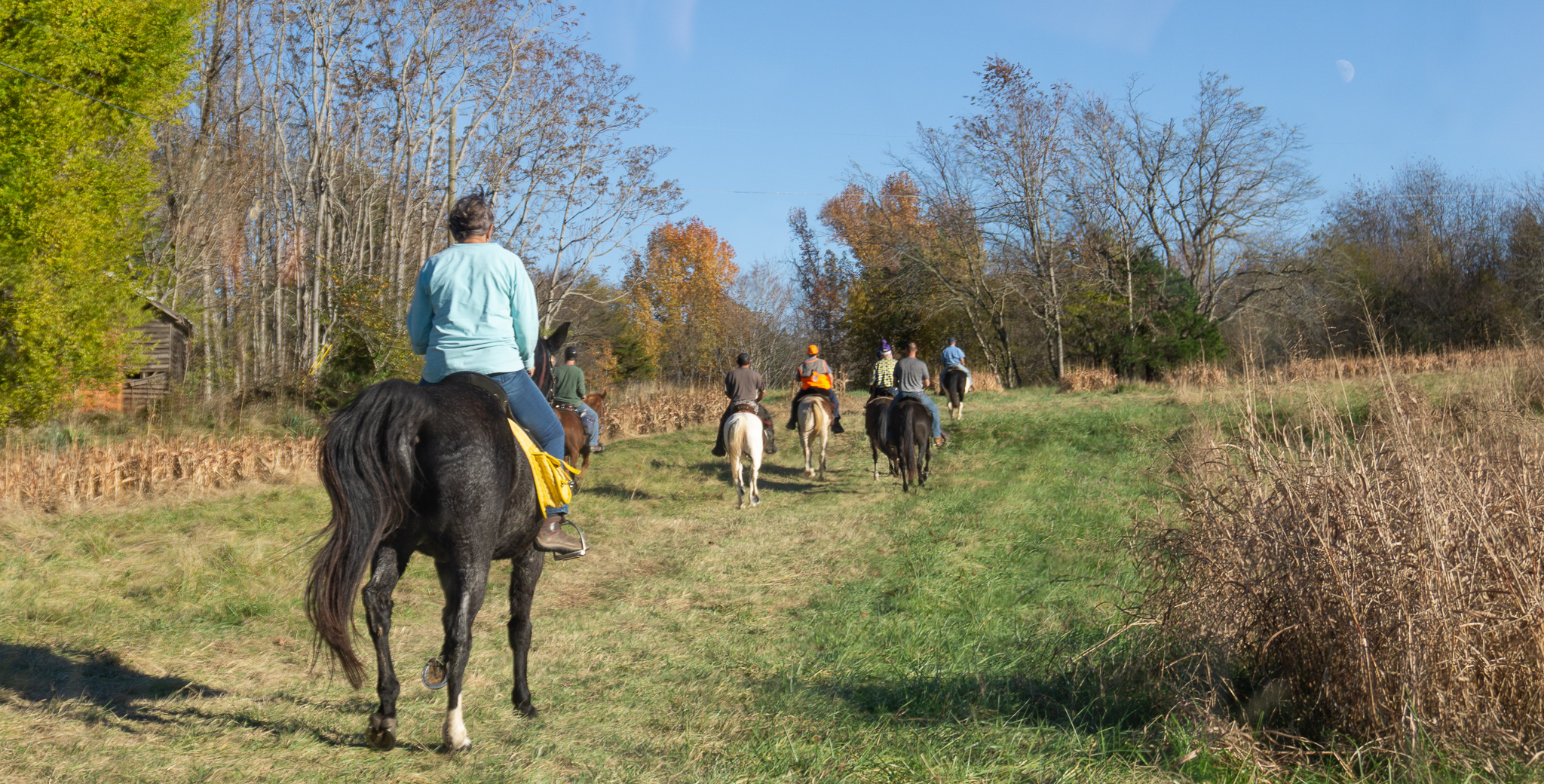 horseback gallery