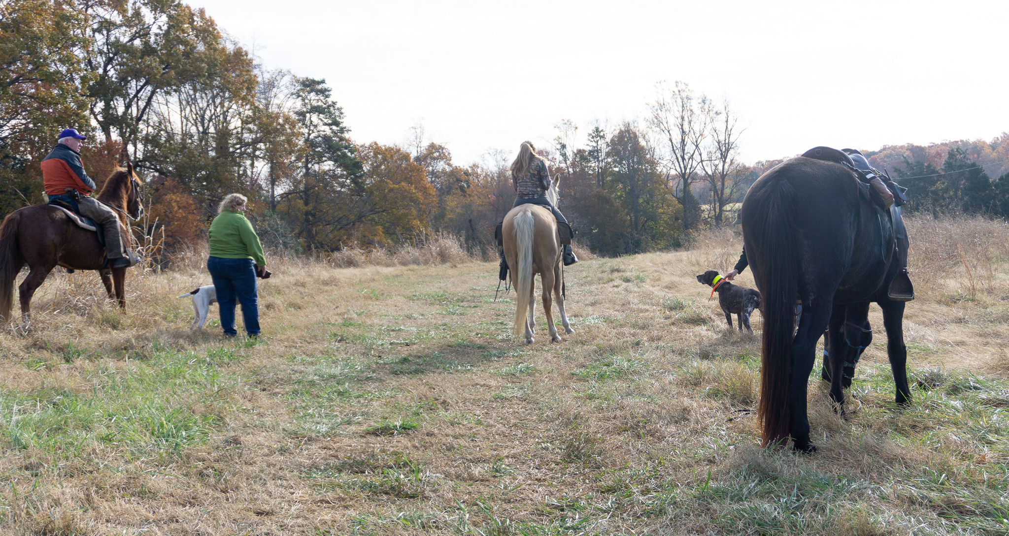 The breakaway at a field trial