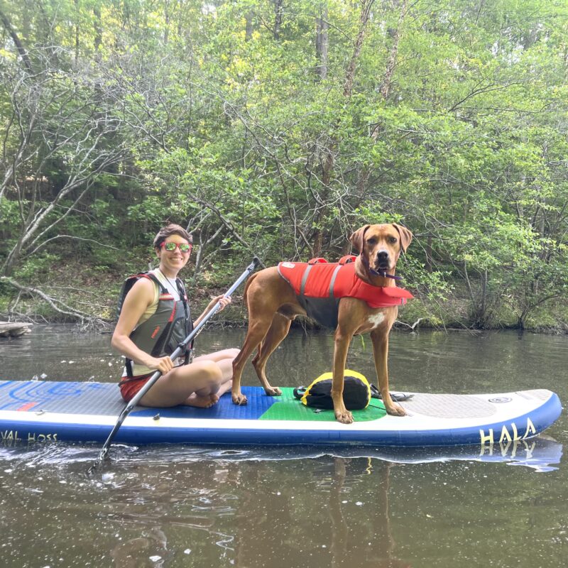 paddle boarding with dogs
