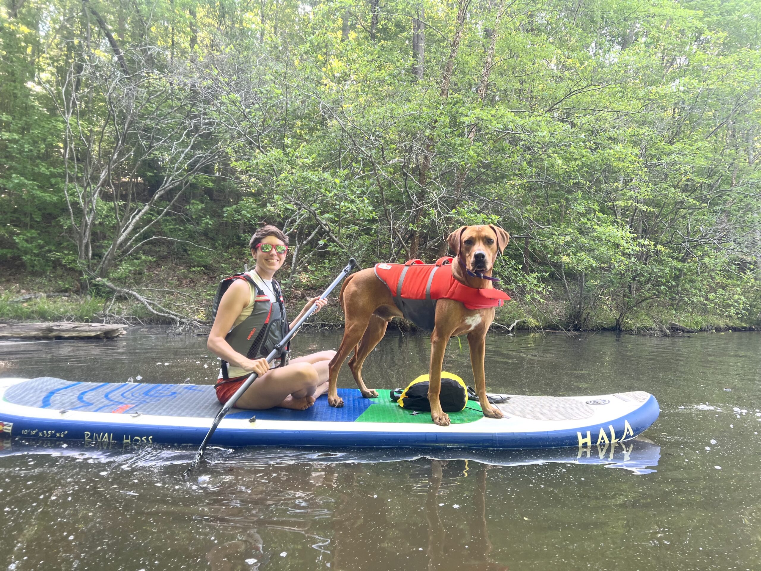 How to SUP with Your Pup(s)