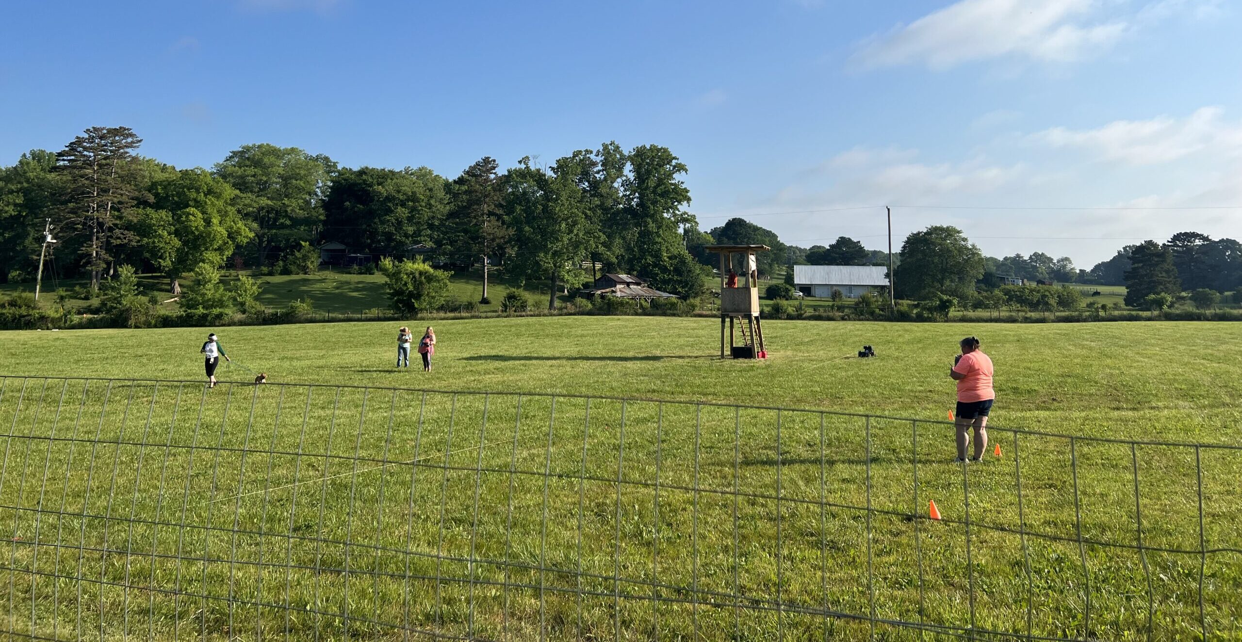 Coursing Ability Tests The Accidental Bird Dog