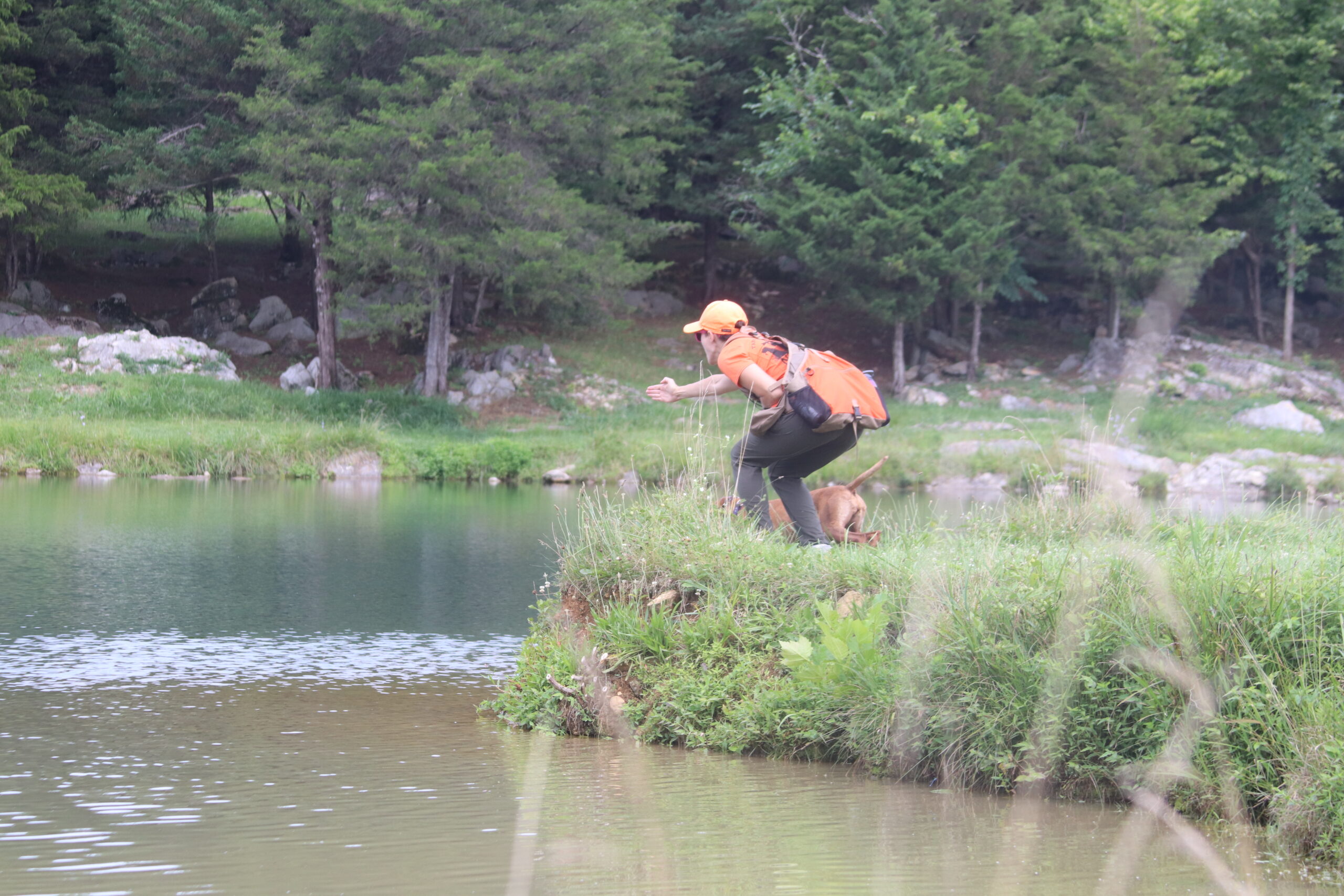 Training for the blind retrieve at the Invitational