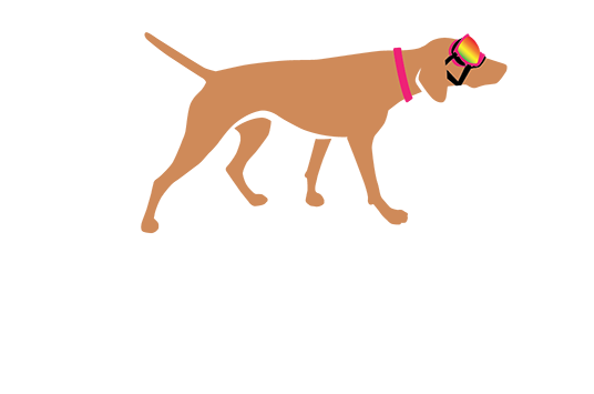The Accidental Bird Dog
