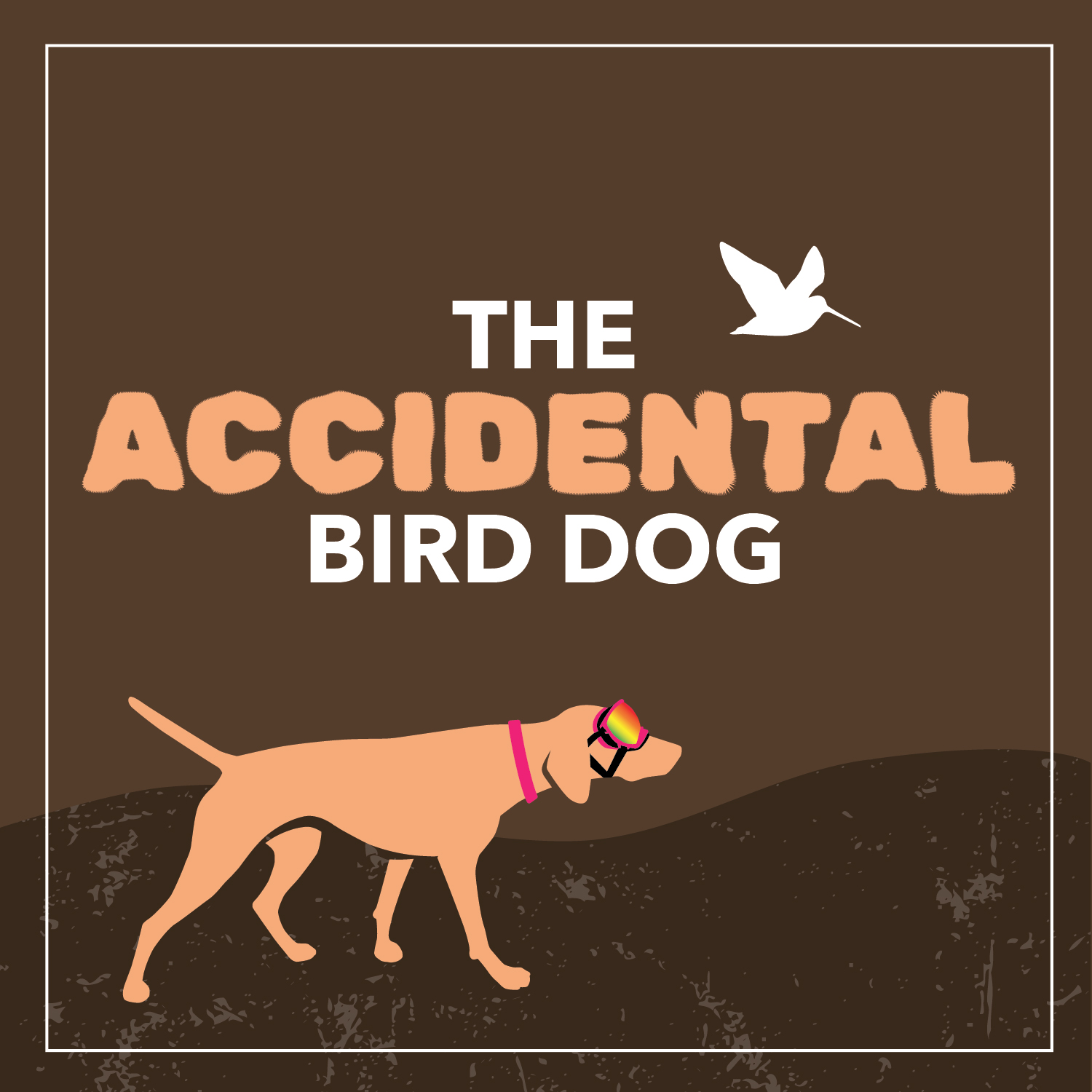 what do bird dogs do