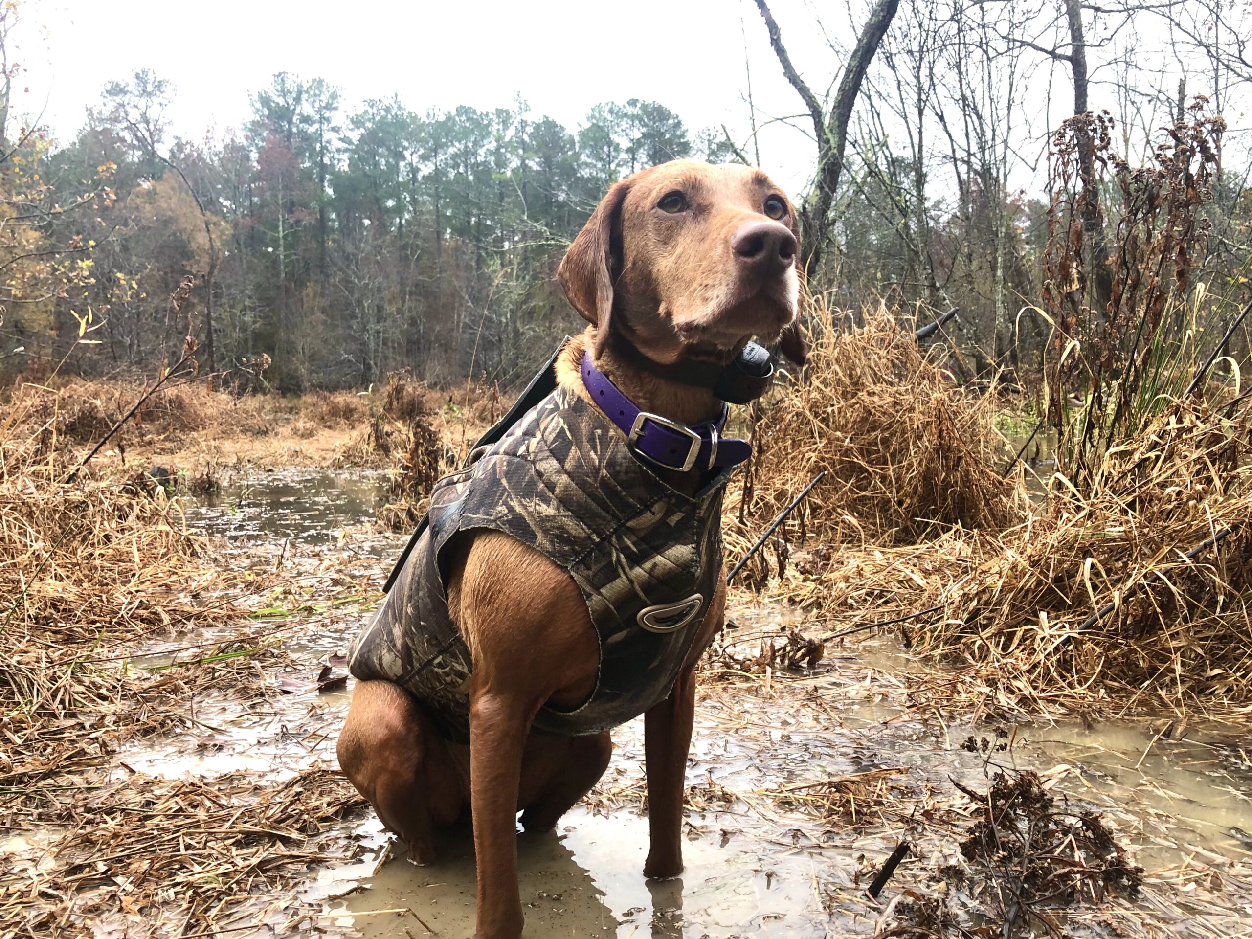Zara wears a duck hunting vest