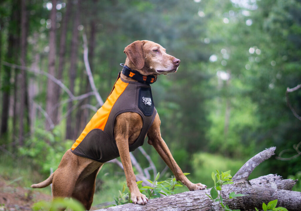Scheel's Outfitters Performance Dog Hunting Vest