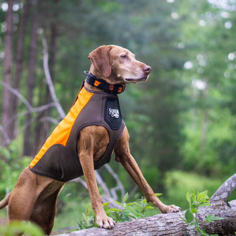 Scheel's Outfitters Performance Dog Hunting Vest
