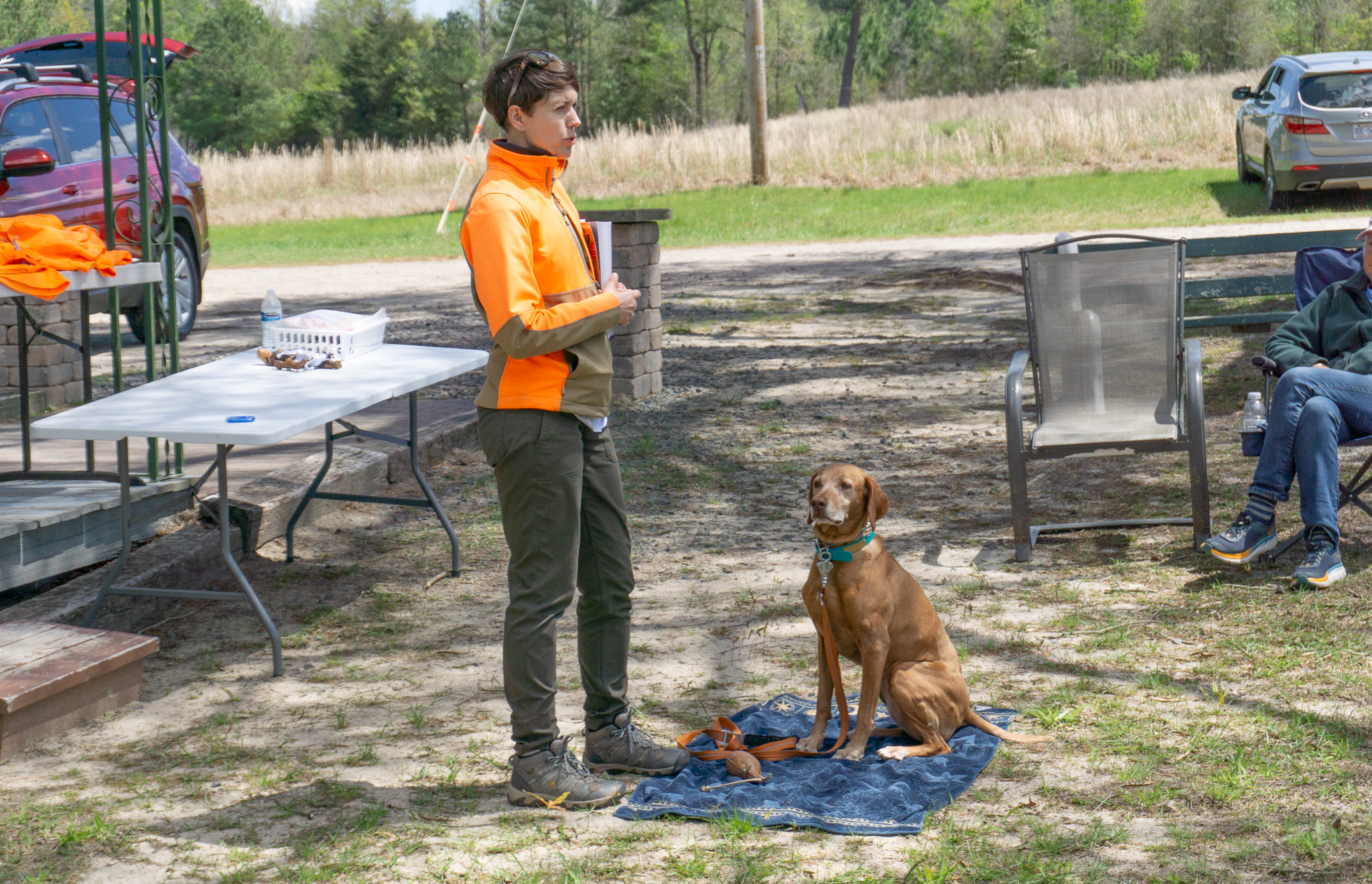 What is Bird Dog Coaching?